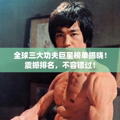 全球三大功夫巨星榜單揭曉！震撼排名，不容錯(cuò)過！