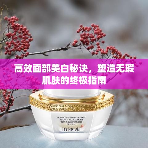 高效面部美白秘訣，塑造無(wú)瑕肌膚的終極指南