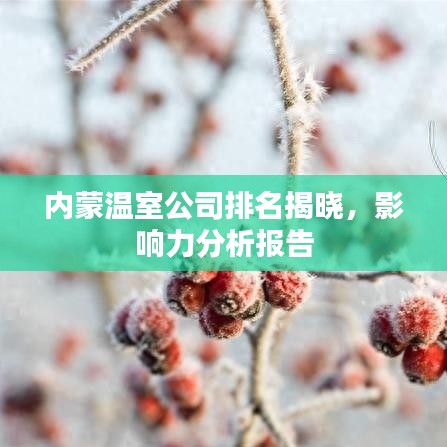 內(nèi)蒙溫室公司排名揭曉，影響力分析報告