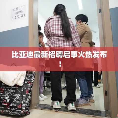 比亞迪最新招聘啟事火熱發(fā)布！