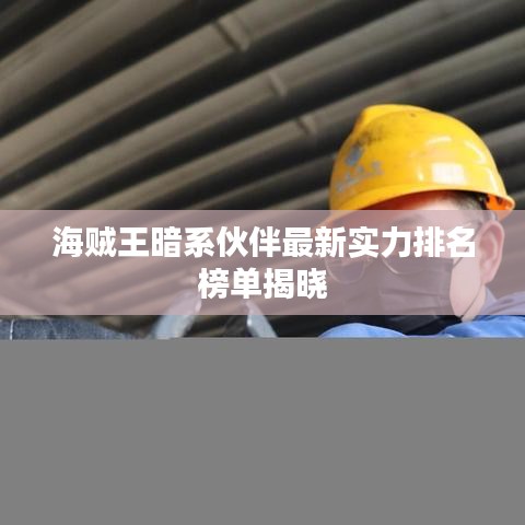 海賊王暗系伙伴最新實力排名榜單揭曉