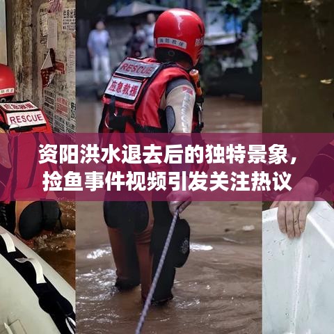 資陽洪水退去后的獨特景象，撿魚事件視頻引發(fā)關(guān)注熱議