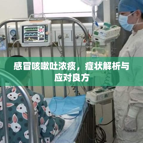 感冒咳嗽吐濃痰，癥狀解析與應(yīng)對良方