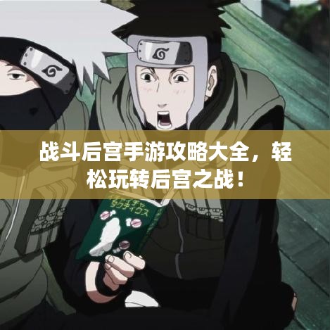 戰(zhàn)斗后宮手游攻略大全，輕松玩轉(zhuǎn)后宮之戰(zhàn)！